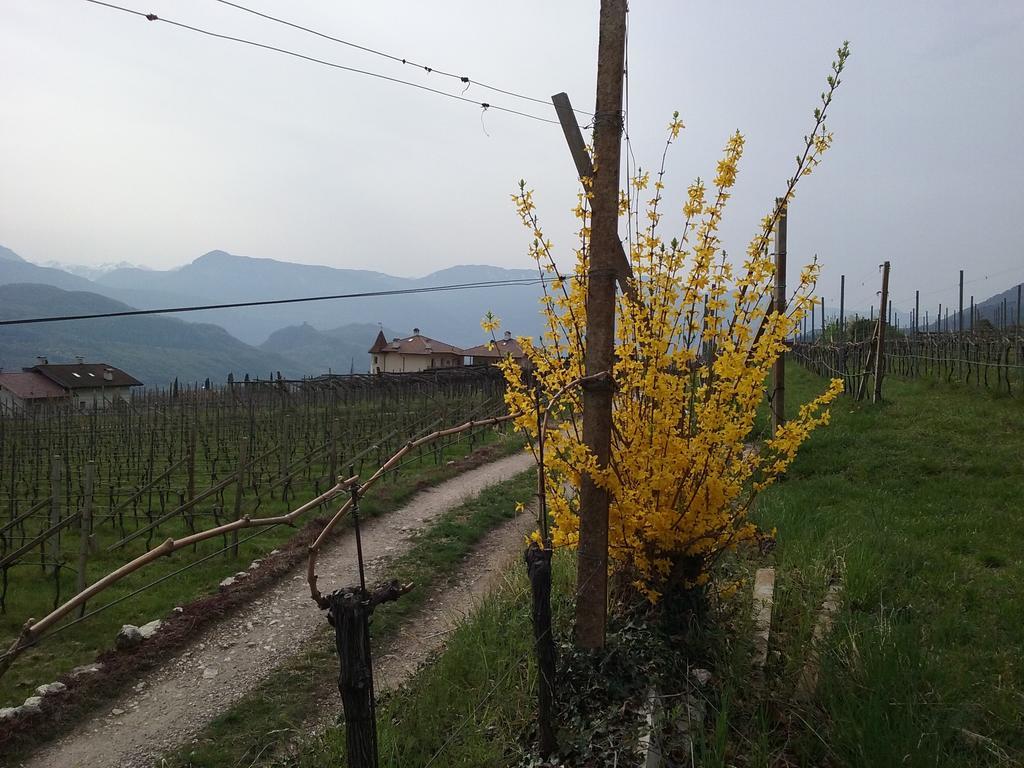 Wiesmuellerhof Caldaro Extérieur photo