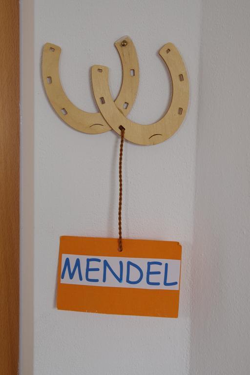 Wiesmuellerhof Caldaro Extérieur photo