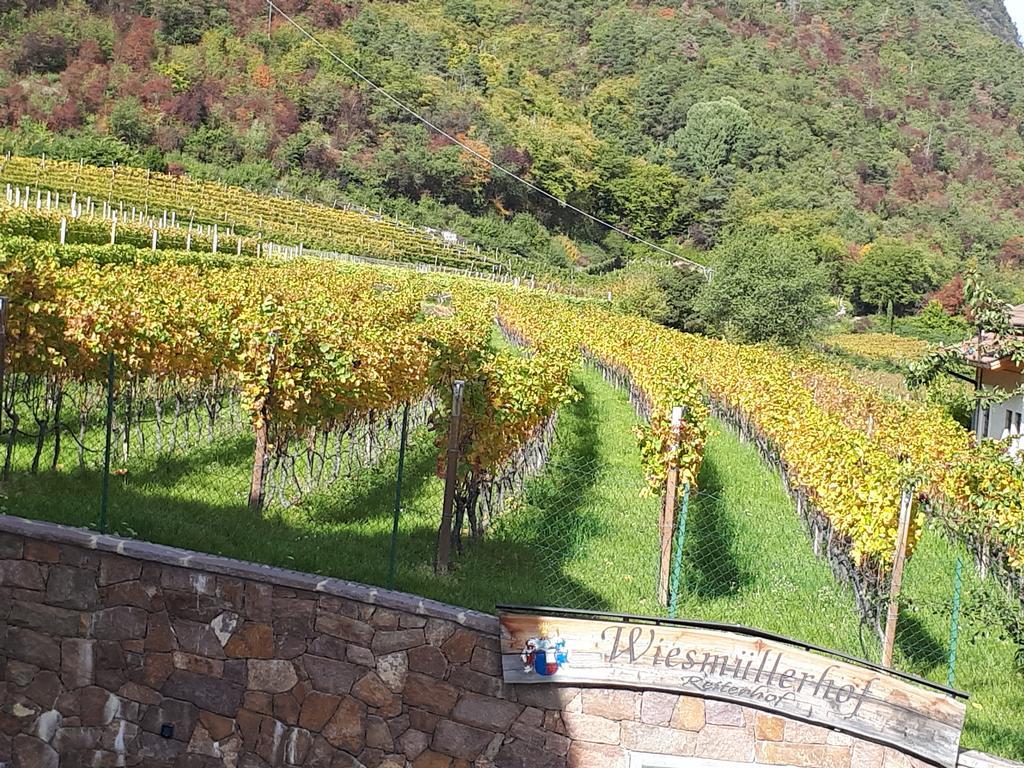 Wiesmuellerhof Caldaro Extérieur photo